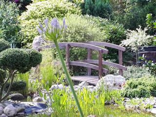 NEU! Ferienwohnung Ebbe - 8