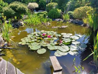 NEU! Ferienwohnung Ebbe - 4