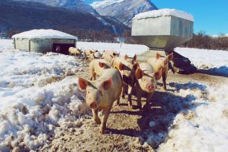 Masseria Ramello - 1