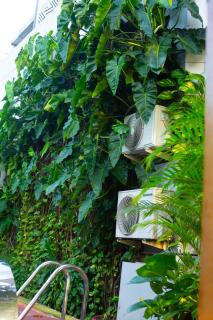 The Angel Hotel Lagos - 1