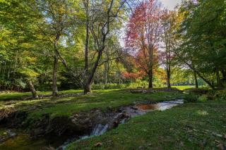 Matney Ridge Estate - 9