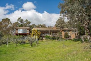 Peaceful Bushland Retreat with Treetop Hills Views - 3