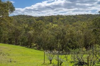 Country Charm Cottage with Pool and Forest Views - 1