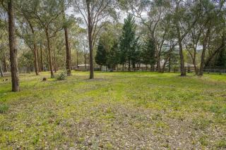 Country Charm Cottage with Pool and Forest Views - 5