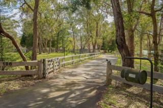 Country Charm Cottage with Pool and Forest Views - 4