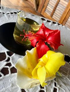 Le Pariskomba Lodge - 2