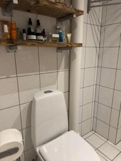 Hyggeligt værelse centralt i Kbh - 1