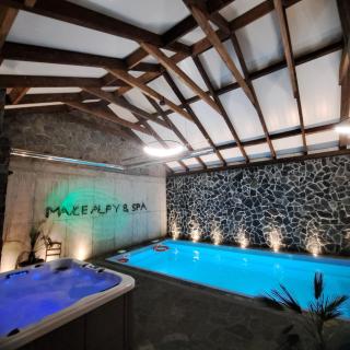 MAŁE ALPY & SPA - Willa z Basenem Krynica-Zdrój - 8