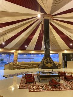 Golden Galaxy Luxury Camp - 2