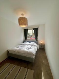 Basic Flat with Balcony in Zurich - 5