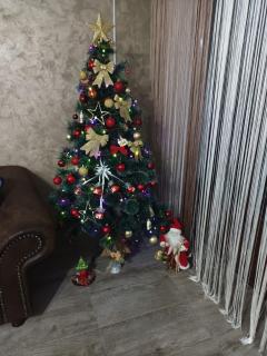 Pensiunea Fira - 5