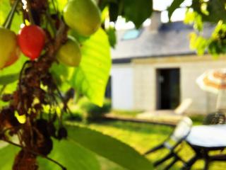 Charmante maison au calme avec jardin - 5