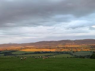 Woodhead Shepherds Hut - Sleeps 2 - Mailer Farm - 2