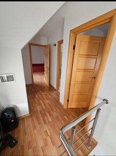 Dendro House - 5