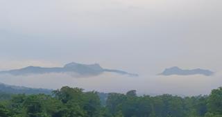 The Confluence - Centre of Yoga Science and Sustainability - 3