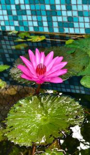 The Confluence - Centre of Yoga Science and Sustainability - 2