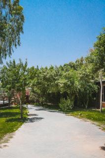 Muzdan Holiday homes - 4