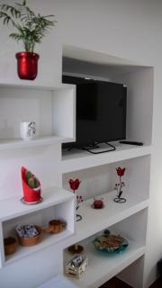 Paloma nel bosco - 9