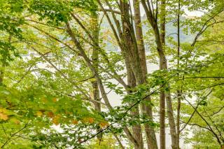 Walk to Lake Hamlin Cottage Near Boat Launch - 5