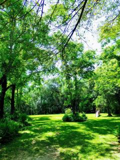 Sítio do Vô Germano - 2