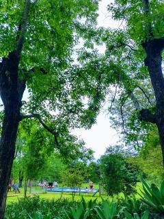 Sítio do Vô Germano - 1