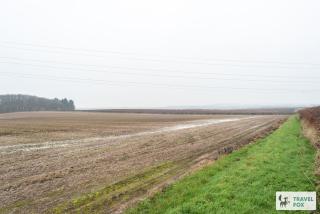 Sherwood Pines - Big Garden! - 4