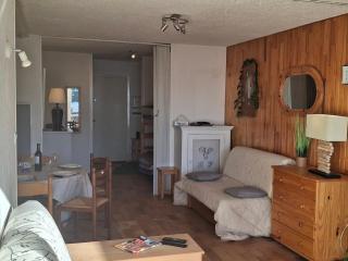 Chamrousse: Apt 56m² pour 8 pers, Séjour en Montagne - FR-1-549-162 - 3