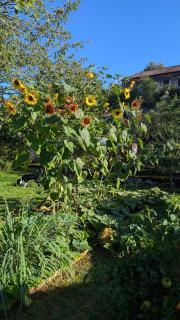 Magnifique Gîte avec vue Montagne au cœur des Pyrenees - 4