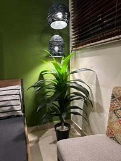 Emerald Arc Stylish & Serene 1BHK Apartment - 2