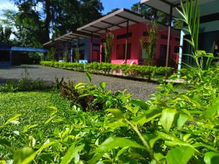 Caribbean Blue Morpho Casitas - 6