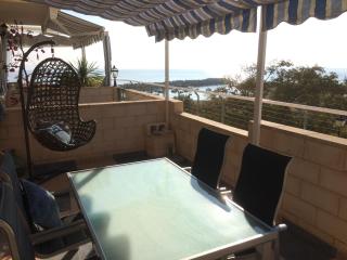 Chameleon at Sea Ibiza Style - 3