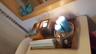 Chameleon at Sea Ibiza Style - 5