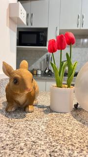 Mini apartment near the Pachacutec Oval - 7