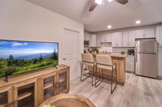 The Ruby 311 By Avada Properties - Pigeon Forge - 5