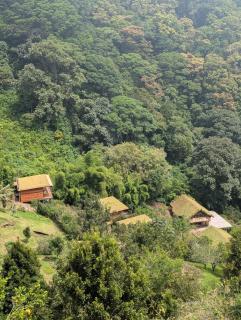 Boquete Cloudforest Lodge - 8