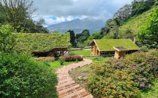 Boquete Cloudforest Lodge - 7