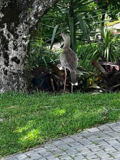 Aconchegante refúgio familiar - 4