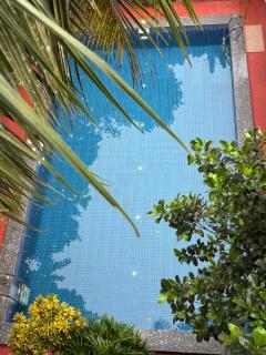 Serendipity Goa - Apartments and Cafe - 0