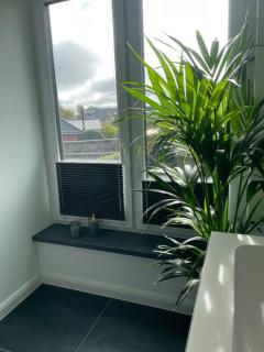 Modern saniertes Haus in Husum - 4