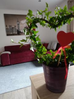 Ubytovanie Pod lesom - 9