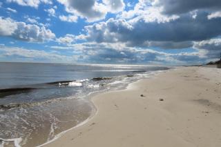 For The Birds- On The Water - 2