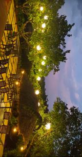 Chaloba Hills Agro Resort - 9