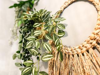 Studio Oasis Emeraude - 7