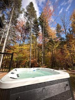 Chalet Le St-Ray - 9