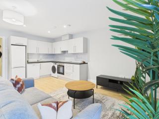 Vip Dublin Apartments Harolds Cross - 4