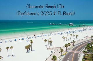 Just-in Paradise - 2