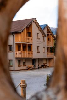 Apartments & Farm Planat - San Cassiano - 9