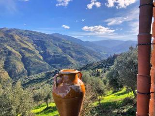 House in the Countryside with Eolian View - 1