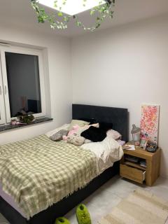 Domek w Biłgoraju - 2