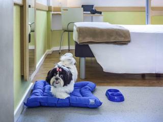 ibis budget Belo Horizonte Minascentro - 7